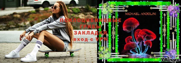 винт Алзамай