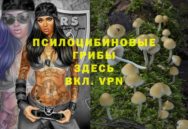 винт Алзамай