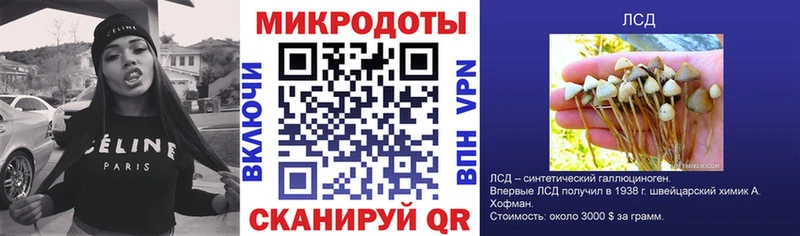 Псилоцибиновые грибы Psilocybine cubensis  Лабинск 
